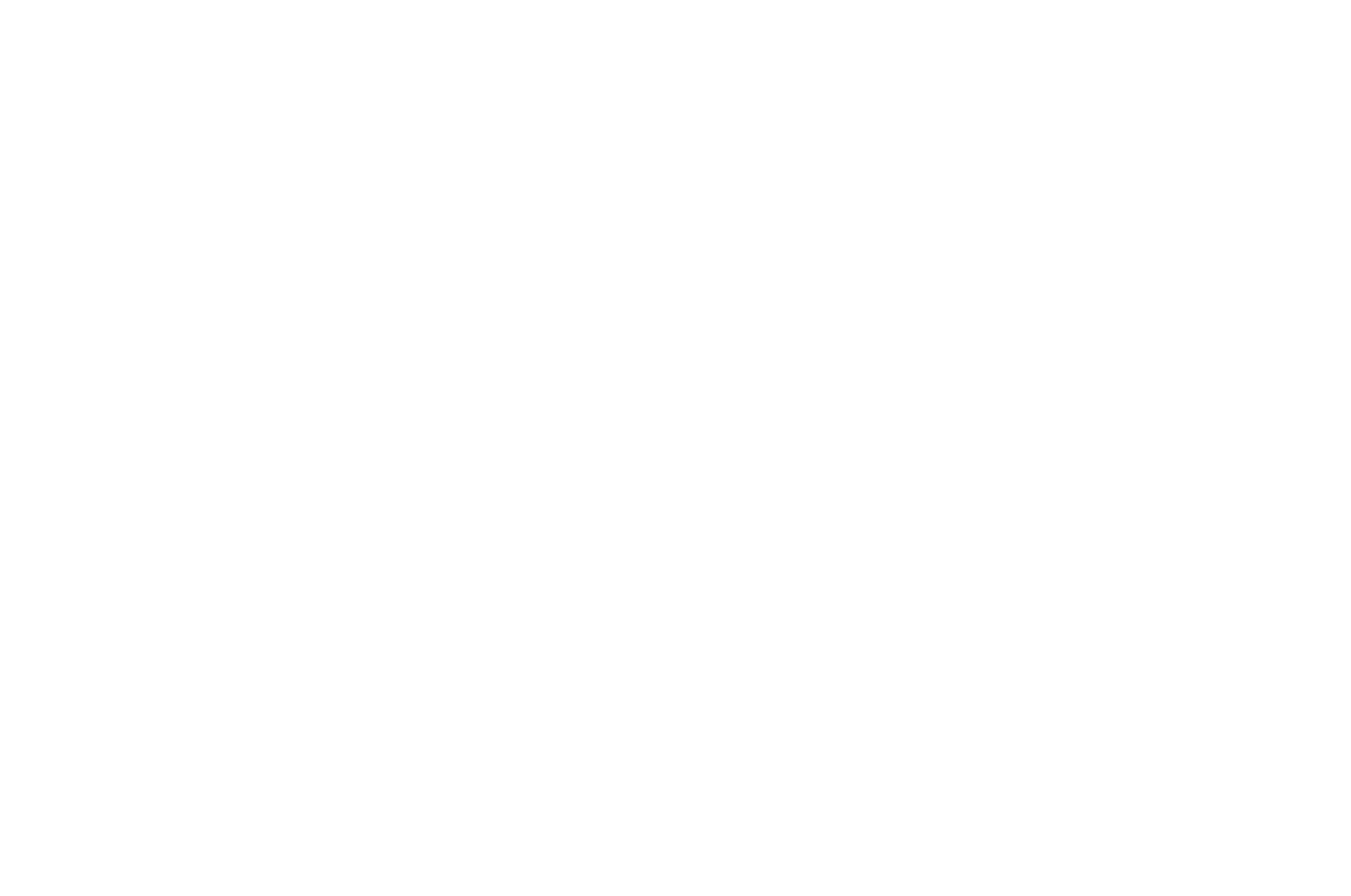 OFFICIAL SELECTION - Sonoma International Film Festival - 2018-2